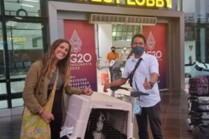 Galeri PT Maswan Sarana Satwa 12