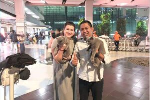 Galeri PT Maswan Sarana Satwa 15