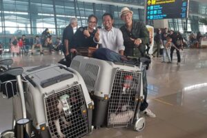 Galeri PT Maswan Sarana Satwa 22