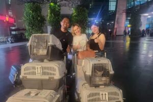 Galeri PT Maswan Sarana Satwa 6