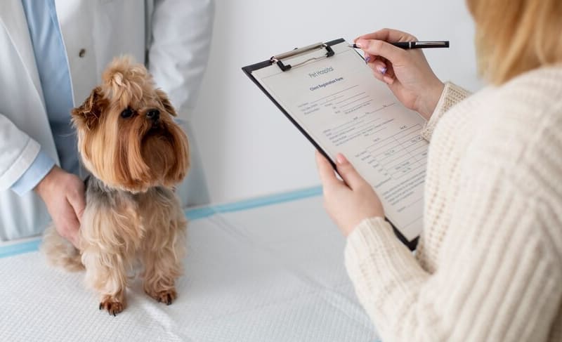 Periksa Dokumen Hewan Peliharaan Anda