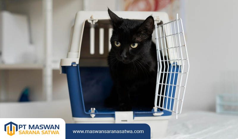 Pet Transport Jakarta