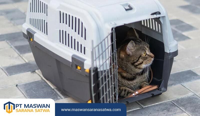 Pet Transport Terpercaya di Tangerang