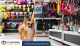 Pet Shop Terdekat di Jakarta