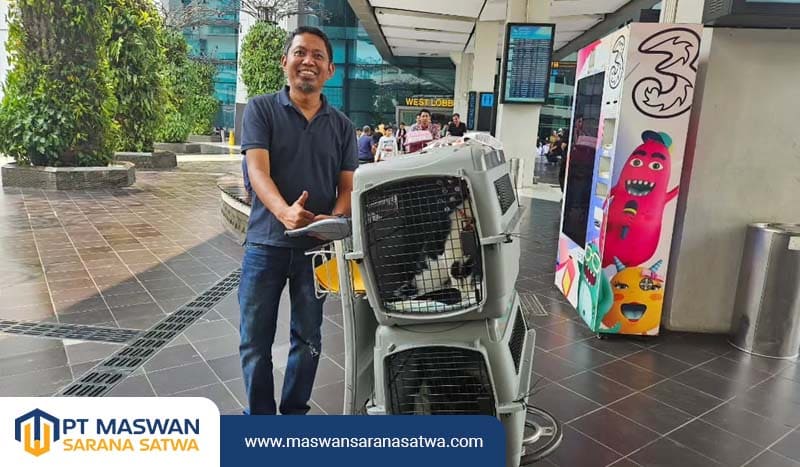 Jasa Pet Transport Tangerang