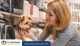 Pet Shop Tangerang Terlengkap
