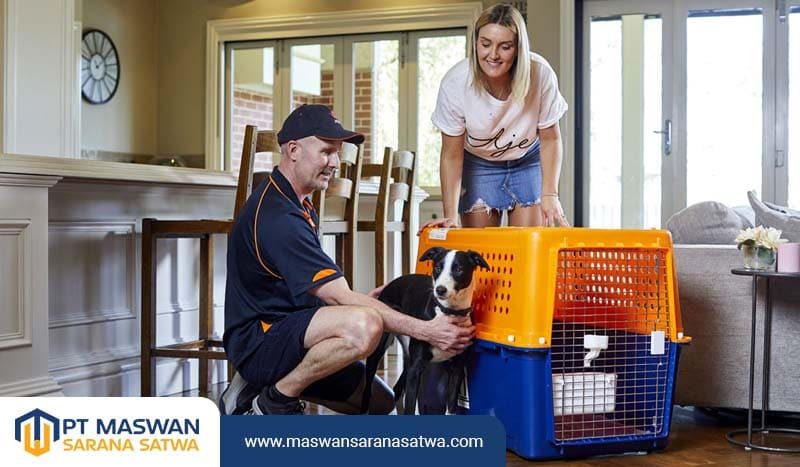 Jasa Kirim Hewan Jakarta