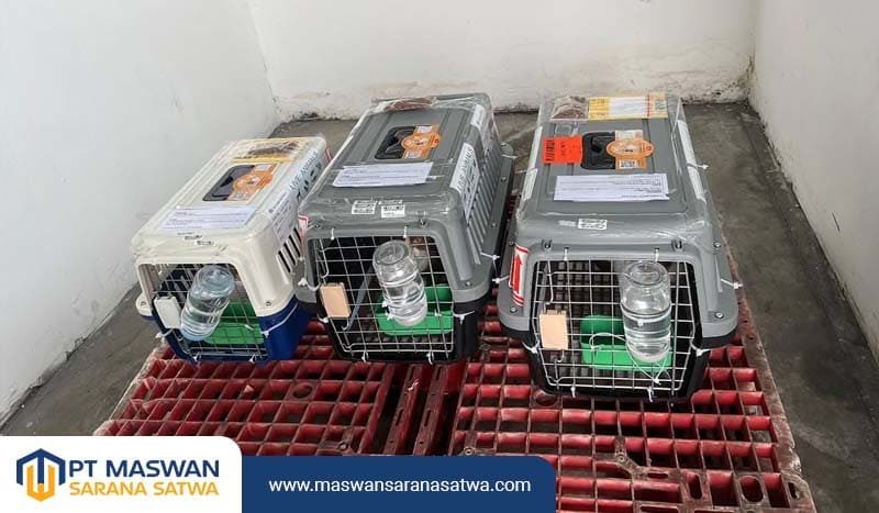 Jasa Kirim Hewan Tangerang