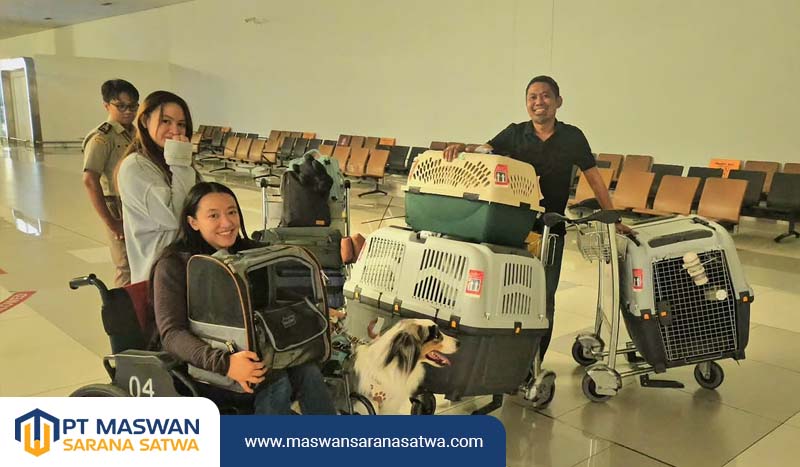 Pet Transport Murah Tangerang