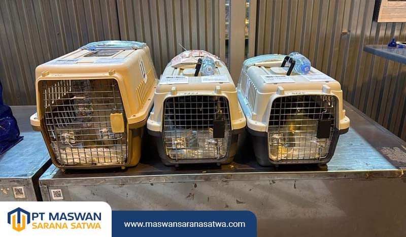 Jasa Pengiriman Hewan Tangerang
