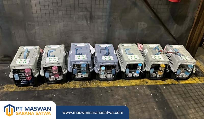 Kontak kami: +62 856-8809-052 Alamat toko: Jl. Dr. Setiabudi No.73 B, Pamulang Barat, Kec. Pamulang, Tangerang Selatan, Banten 15417