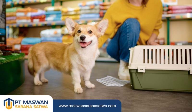 Pet Shop Jakarta Terbaik